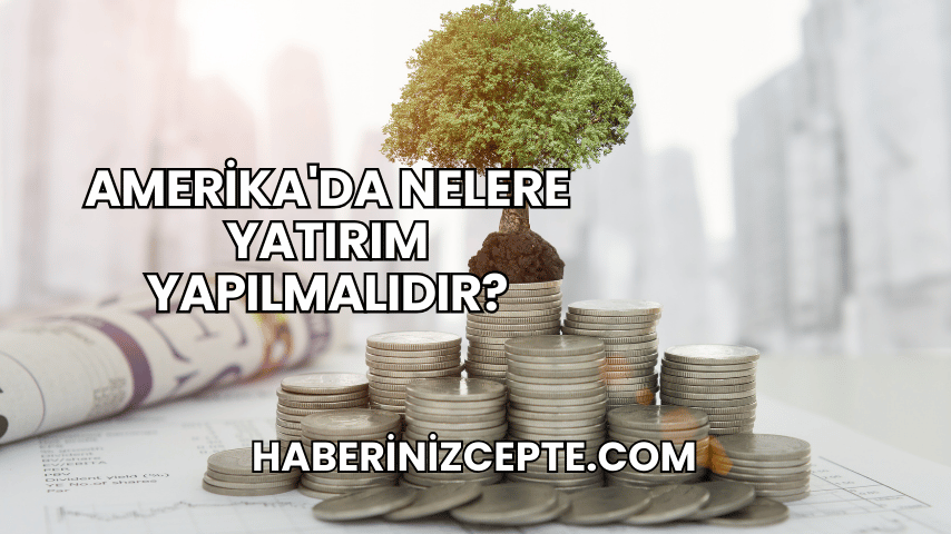 Amerika'da Nelere Yatırım Yapılmalıdır?