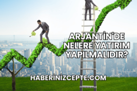Arjantin'de Nelere Yatırım Yapılmalıdır?