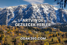 Artvin'de Gezilecek Yerler