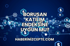 Borusan Katılım Endeksine Uygun mu?
