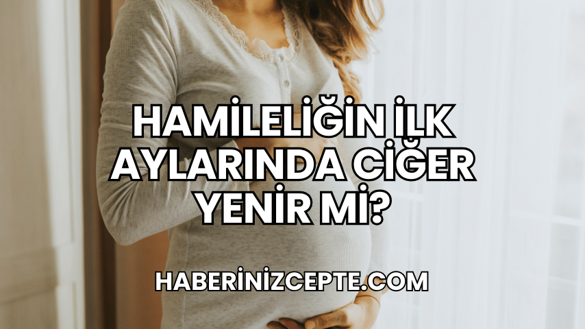 Hamileliğin İlk Aylarında Ciğer Yenir mi?
