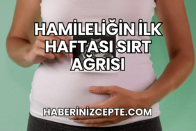 Hamileliğin İlk Haftası Sırt Ağrısı