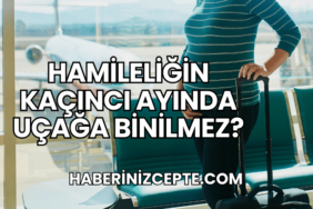 Hamileliğin Kaçıncı Ayında Uçağa Binilmez?