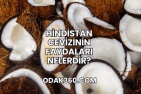 Hindistan Cevizinin Faydaları Nelerdir?