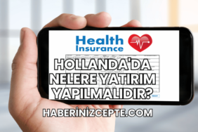 Hollanda'da Nelere Yatırım Yapılmalıdır?