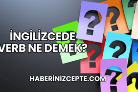 İngilizcede Verb Ne Demek?