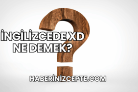 İngilizcede XD Ne Demek?