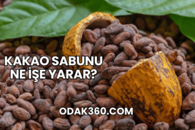 Kakao Sabunu Ne İşe Yarar?