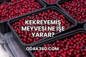 Kekreyemiş Meyvesi Ne İşe Yarar?