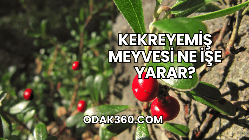 Kekreyemiş Meyvesi Ne İşe Yarar?