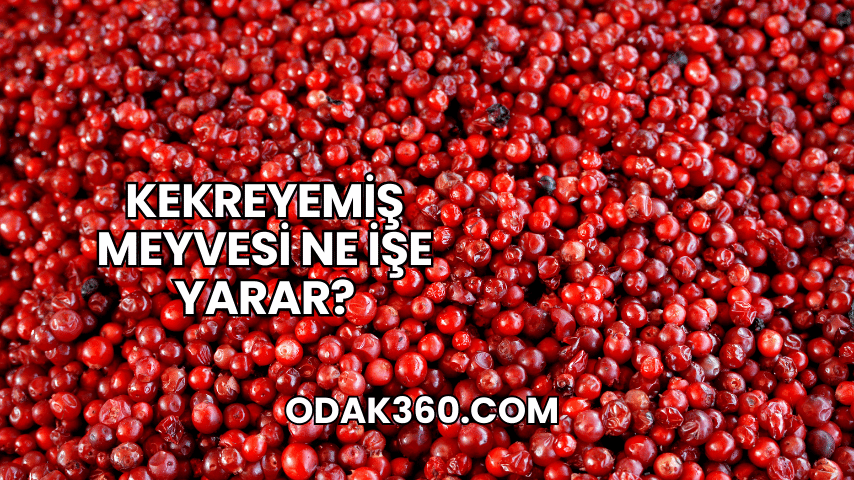 Kekreyemiş Meyvesi Ne İşe Yarar?