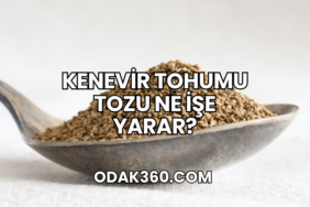 Kenevir Tohumu Tozu Ne İşe Yarar?