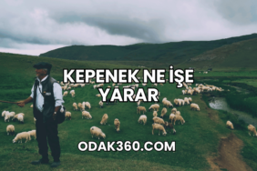 Kepenek Ne İşe Yarar