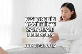 Kestanenin Hamilelikte Zararları Nelerdir?