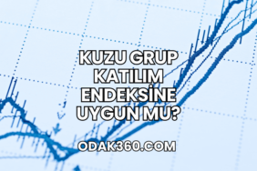 Kuzu Grup Katılım Endeksine Uygun mu?
