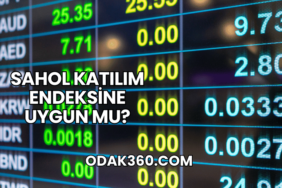 Sahol Katılım Endeksine Uygun mu?