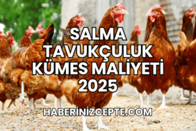 Salma Tavukçuluk Kümes Maliyeti 2025