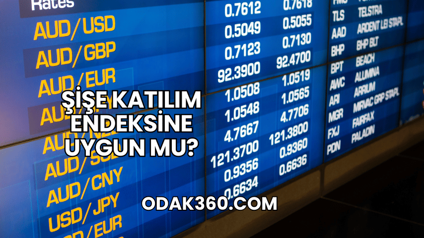 Şişe Katılım Endeksine Uygun mu?