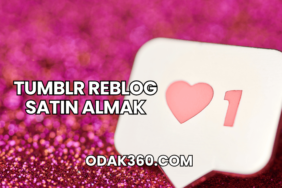 Tumblr Reblog Satın Almak
