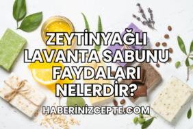 Zeytinyağlı Lavanta Sabunu Faydaları Nelerdir?