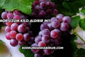 Mor Üzüm Kilo Aldırır mı?