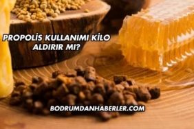 Propolis Kullanımı Kilo Aldırır mı?